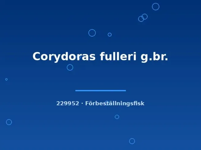 Nu00e4sets Ciklidhobby Corydoras fulleri bottenfisk md
