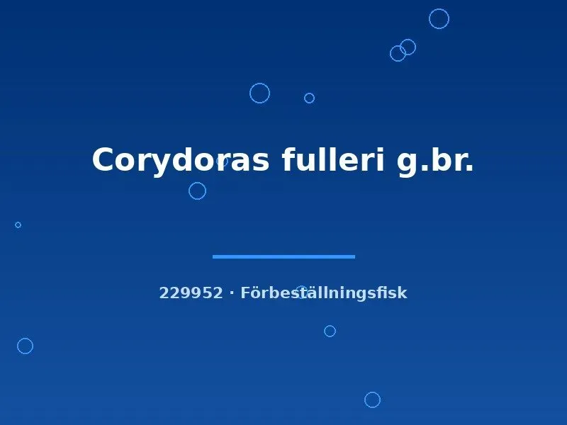Nu00e4sets Ciklidhobby Corydoras fulleri bottenfisk md