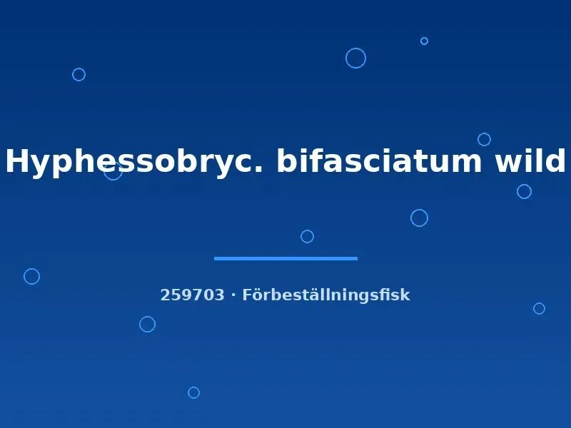 Näsets Ciklidhobby Hyphessobrycon bifasciatum tetra wild xlg