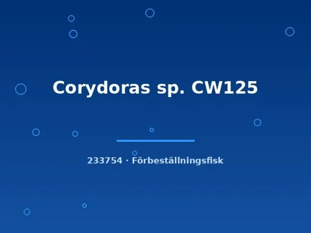 Näsets Ciklidhobby CW125 Corydoras pansarmal lg bottenlevande