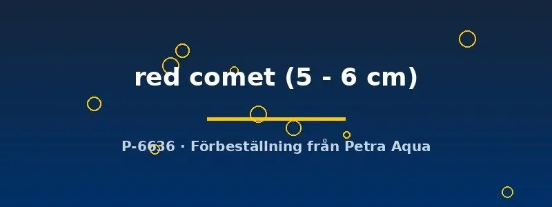 Näsets Ciklidhobby Svärdbärare Red Comet akvariefisk 5–6 cm