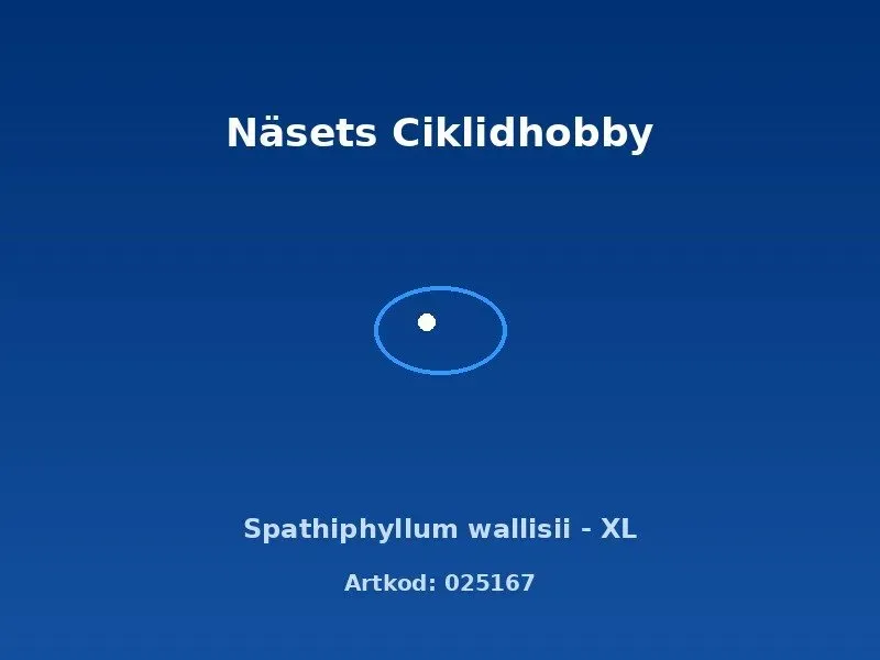 Näsets Ciklidhobby Spathiphyllum wallisii akvarieväxt XL