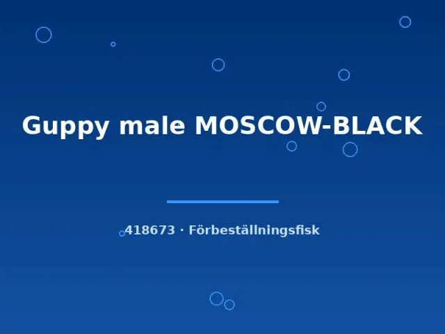 Näsets Ciklidhobby Moscow Black guppy hane lg svart
