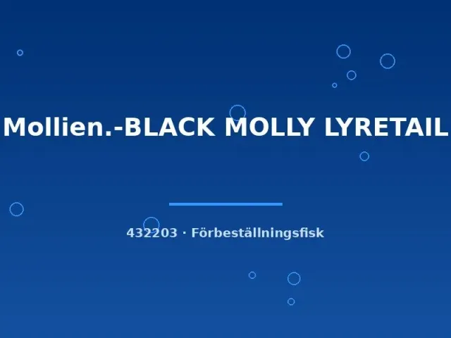 Näsets Ciklidhobby Black molly lyretail akvariefisk lg