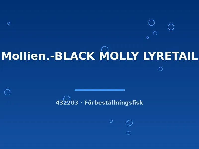 Näsets Ciklidhobby Black molly lyretail akvariefisk lg