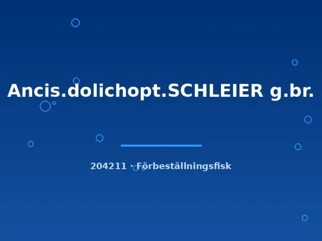 Näsets Ciklidhobby Ancistrus dolichopterus slöjmal 3–4 cm brun