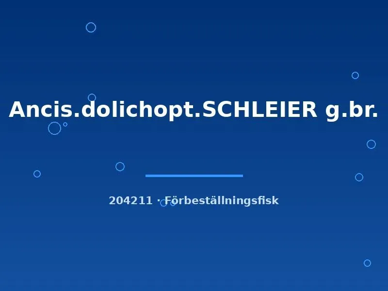 Näsets Ciklidhobby Ancistrus dolichopterus slöjmal 3–4 cm brun
