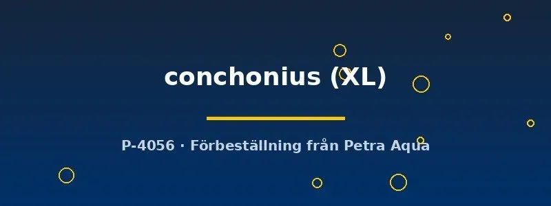 Näsets Ciklidhobby Barbus conchonius akvariefisk XL stim