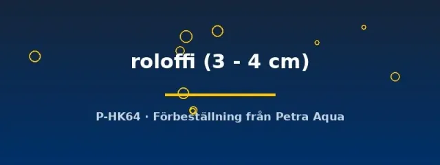 Näsets Ciklidhobby Epiplatys roloffi killifisk 3–4 cm