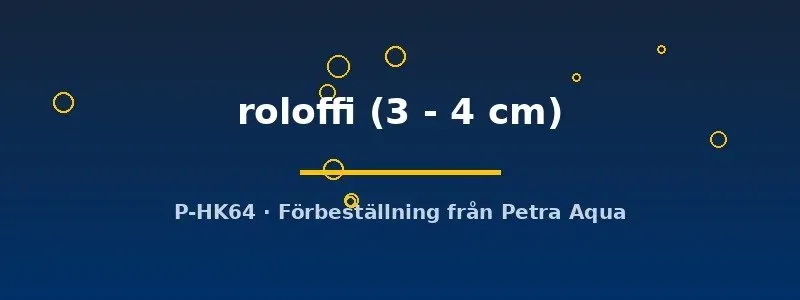 Näsets Ciklidhobby Epiplatys roloffi killifisk 3–4 cm