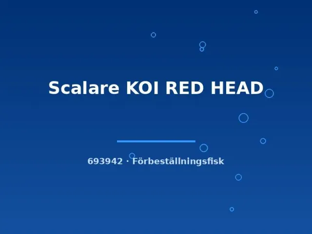Näsets Ciklidhobby Scalare Koi Red Head md skalar