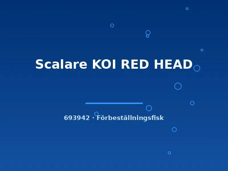 Näsets Ciklidhobby Scalare Koi Red Head md skalar