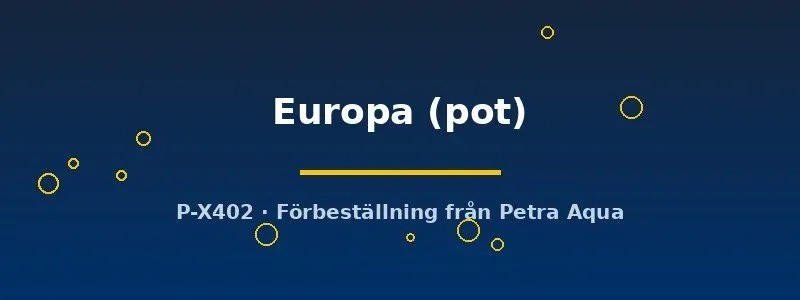 Näsets Ciklidhobby Echinodorus Europa akvarieväxt pot tålig