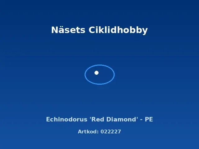 Näsets Ciklidhobby Echinodorus Red Diamond akvarieväxt PE röd