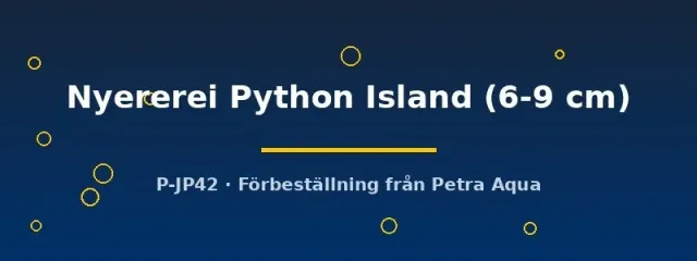 Näsets Ciklidhobby Haplochromis Nyererei Python Island ciklid 6–9 cm