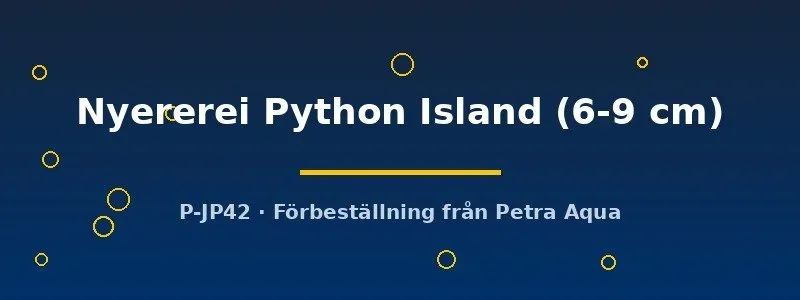 Näsets Ciklidhobby Haplochromis Nyererei Python Island ciklid 6–9 cm