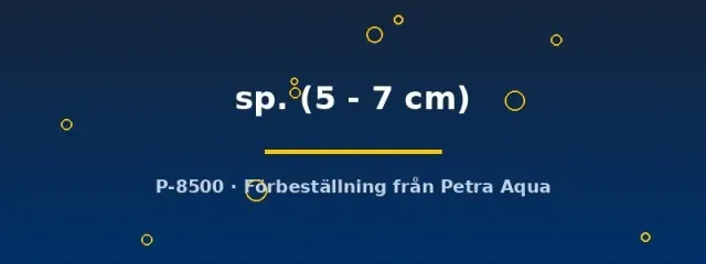 Näsets Eremophilus sp. akvariefisk 5–7 cm bottenlevande