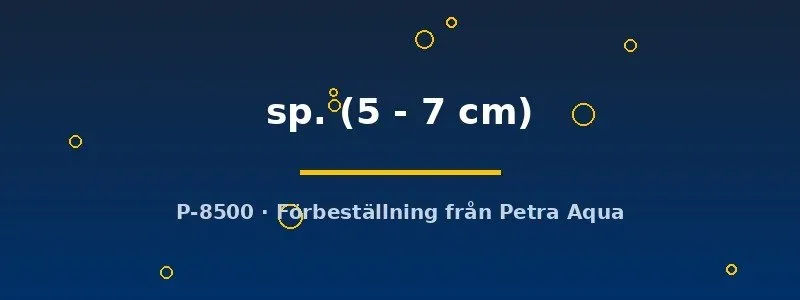Näsets Eremophilus sp. akvariefisk 5–7 cm bottenlevande