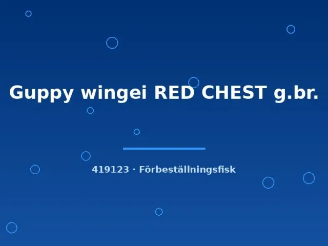 Näsets Ciklidhobby Guppy wingei RED CHEST akvariefisk md
