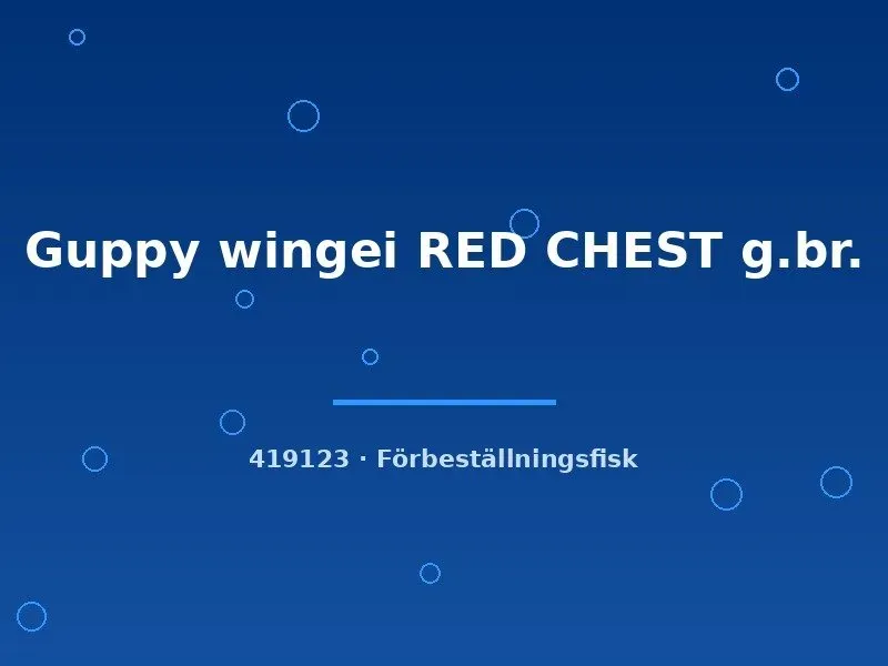 Näsets Ciklidhobby Guppy wingei RED CHEST akvariefisk md