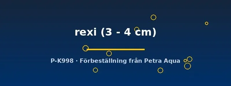 Näsets Ciklidhobby Mugilogobius rexi smörbult 3–4 cm