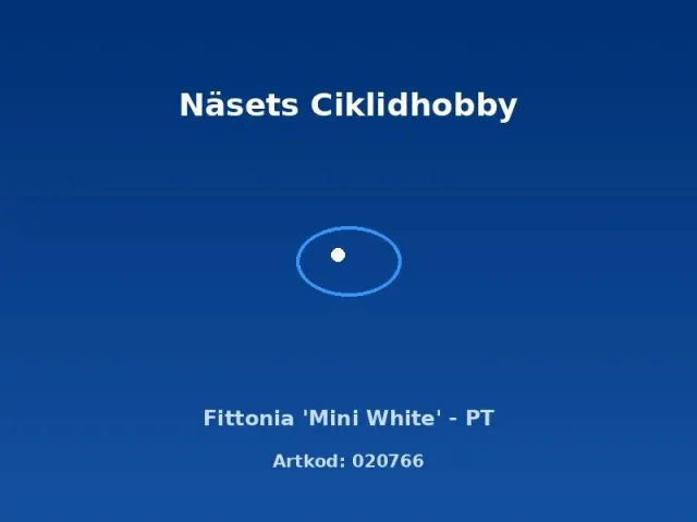 Näsets Ciklidhobby Fittonia Mini White akvarieväxt PT