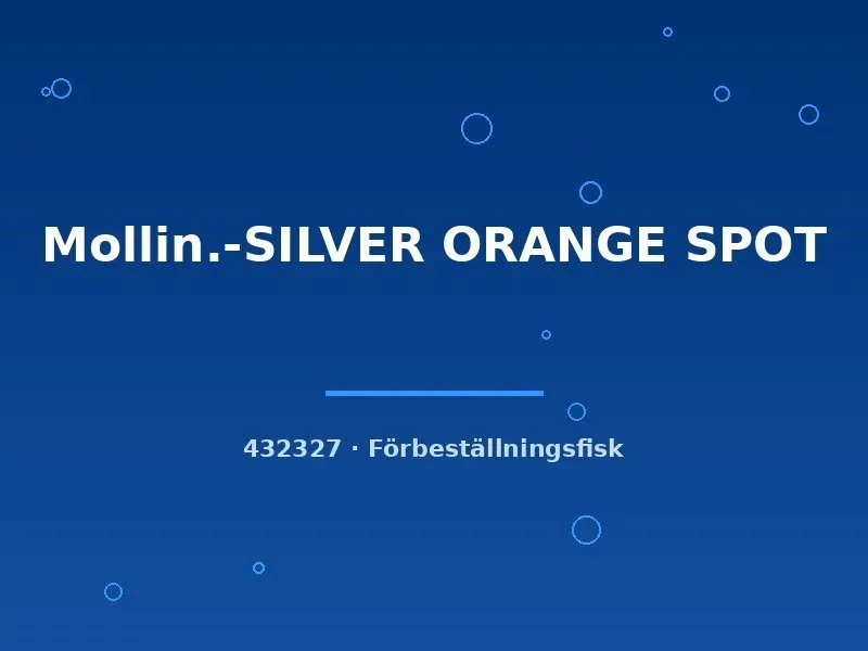 Näsets Molly Silver Orange Spot levandefödare lg