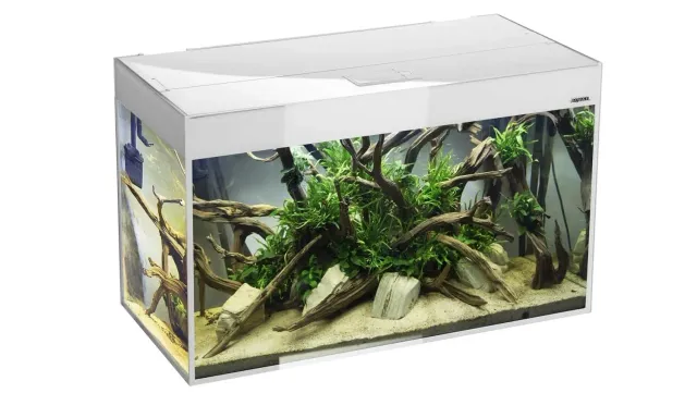 Näsets Ciklidhobby Glossy 215L akvarium vit med LED