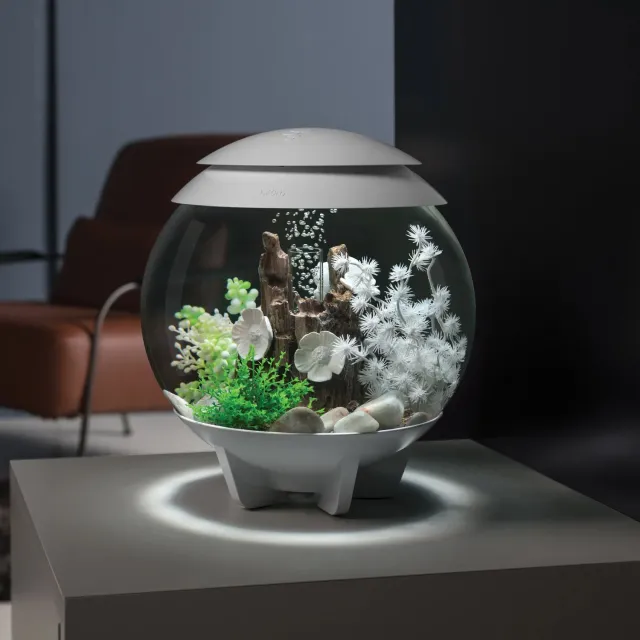 biOrb Leafy Oasis Bundle växtpaket grön dekoration