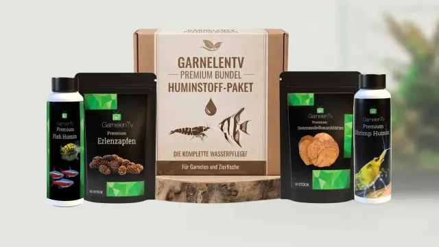 Garnelen TV huminpaket räkor fiskar set