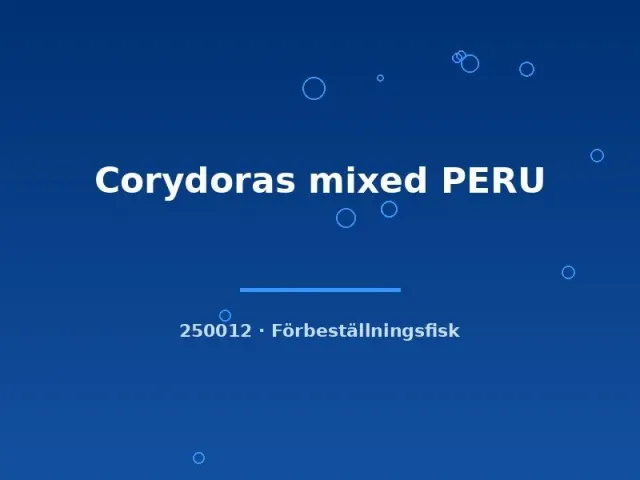 Näsets Ciklidhobby Corydoras mixed PERU pansarmal md bottenfisk