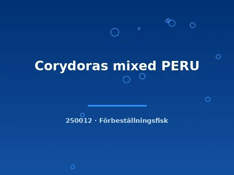 Näsets Ciklidhobby Corydoras mixed PERU pansarmal md bottenfisk