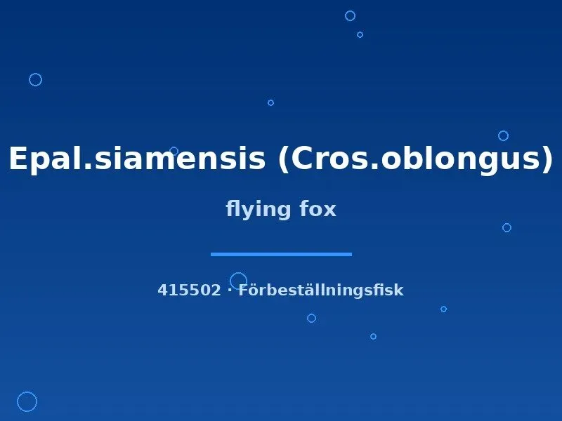 Näsets Flying Fox algätare 3 cm siamensis