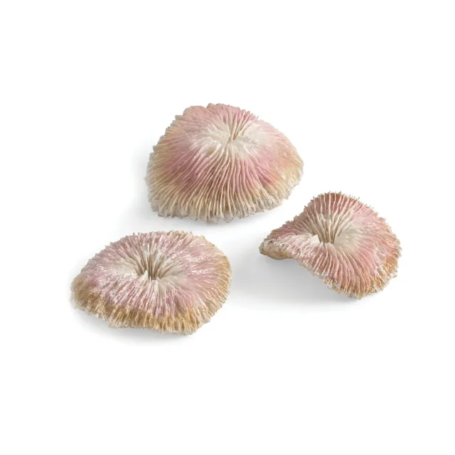 biOrb Plate Coral Set dekoration Natural 3-delar