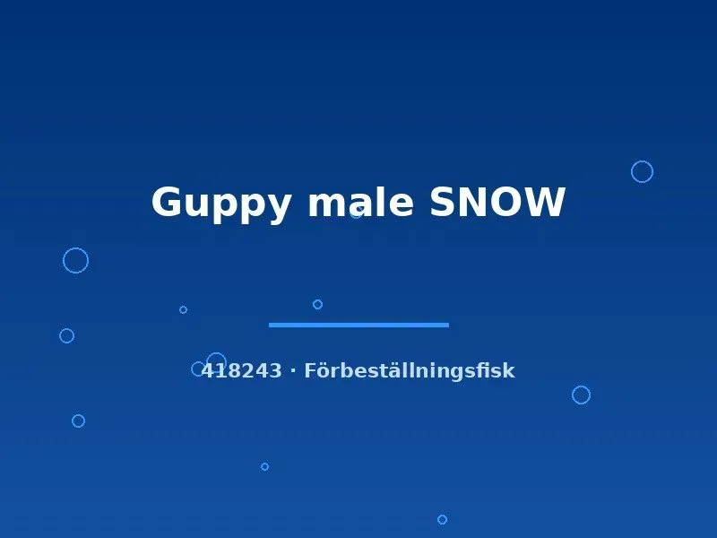 Näsets Ciklidhobby Guppy Snow hane akvariefisk lg vit