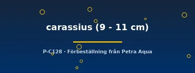 Näsets Ciklidhobby Carassius carassius dammfisk 9–11 cm