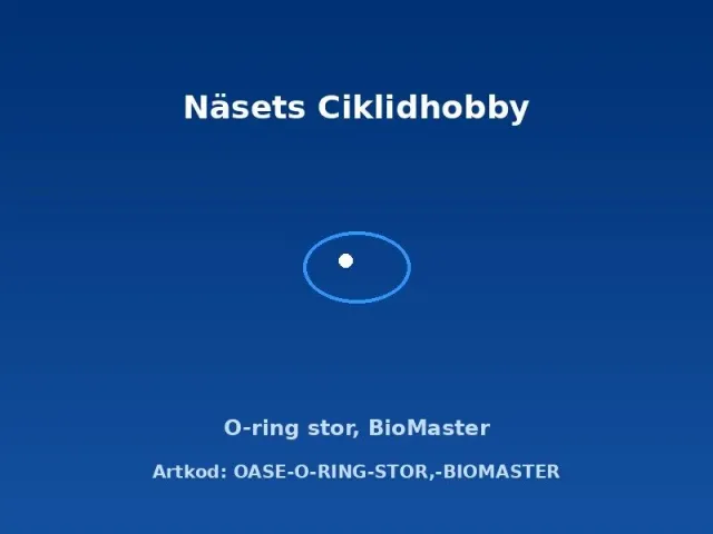 Oase BioMaster O-ring stor reservdel original