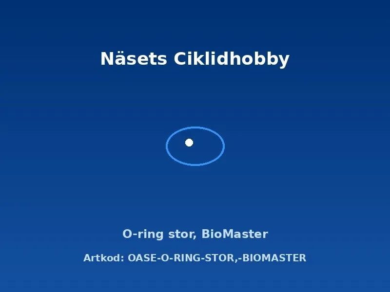 Oase BioMaster O-ring stor reservdel original