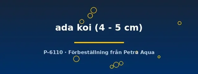 Näsets Ciklidhobby Xiphophorus helleri Ada Koi svärd 4–5cm