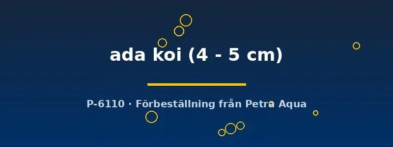 Näsets Ciklidhobby Xiphophorus helleri Ada Koi svärd 4–5cm