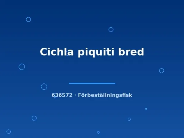 Näsets Cichla piquiti rovfisk 6-8 cm ciklid