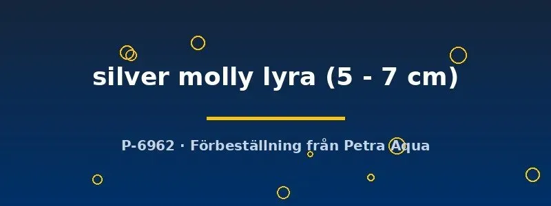 Näsets Silver molly lyra akvariefisk 5–7 cm silver