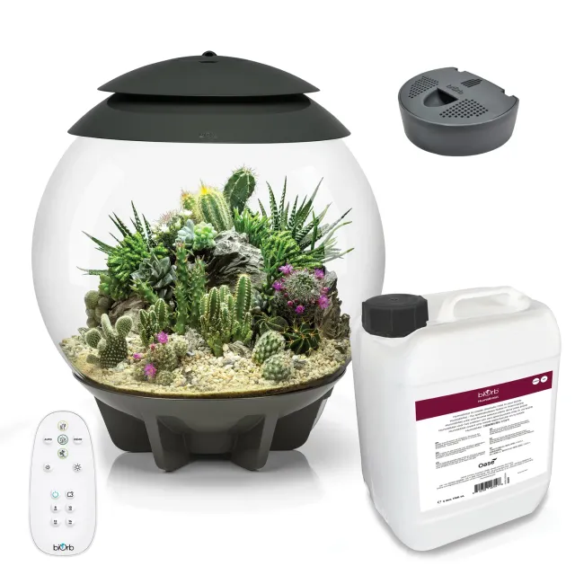 biOrb AIR 30 terrarium med skötselset 30 liter