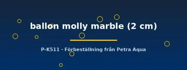 Näsets Poecilia Ballon Molly Marble molly 2 cm