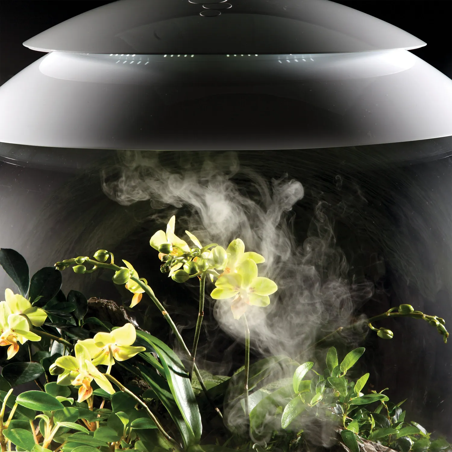 biOrb Humidimist dimvatten 5 liter AIR EARTH