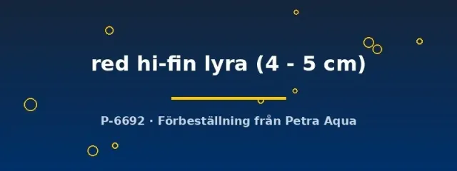 Näsets Ciklidhobby Xiphophorus helleri svärdbärare 4-5 cm röd