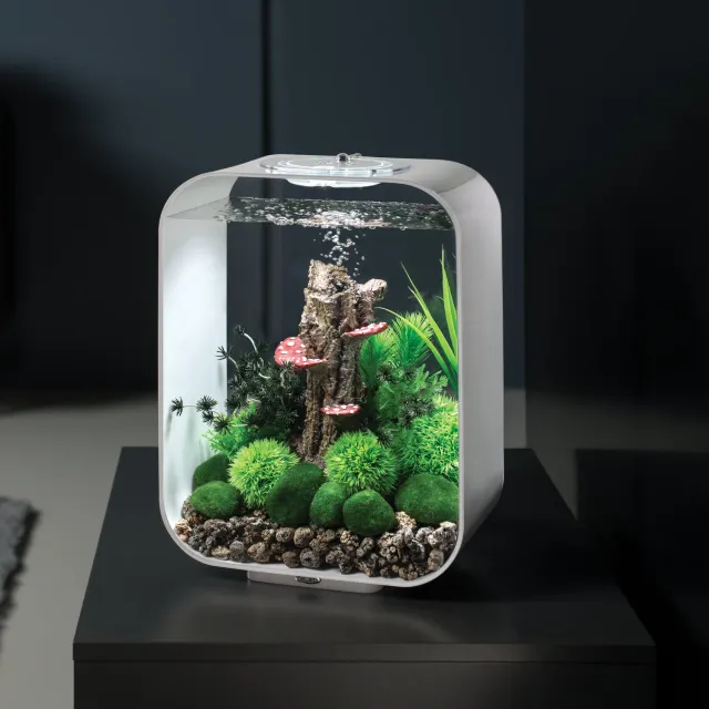 biOrb LIFE 15 akvarium 15 liter Groovy Garden