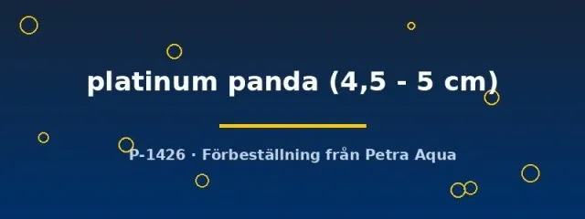 Näsets Ciklidhobby Platinum Panda skalare 4,5–5 cm