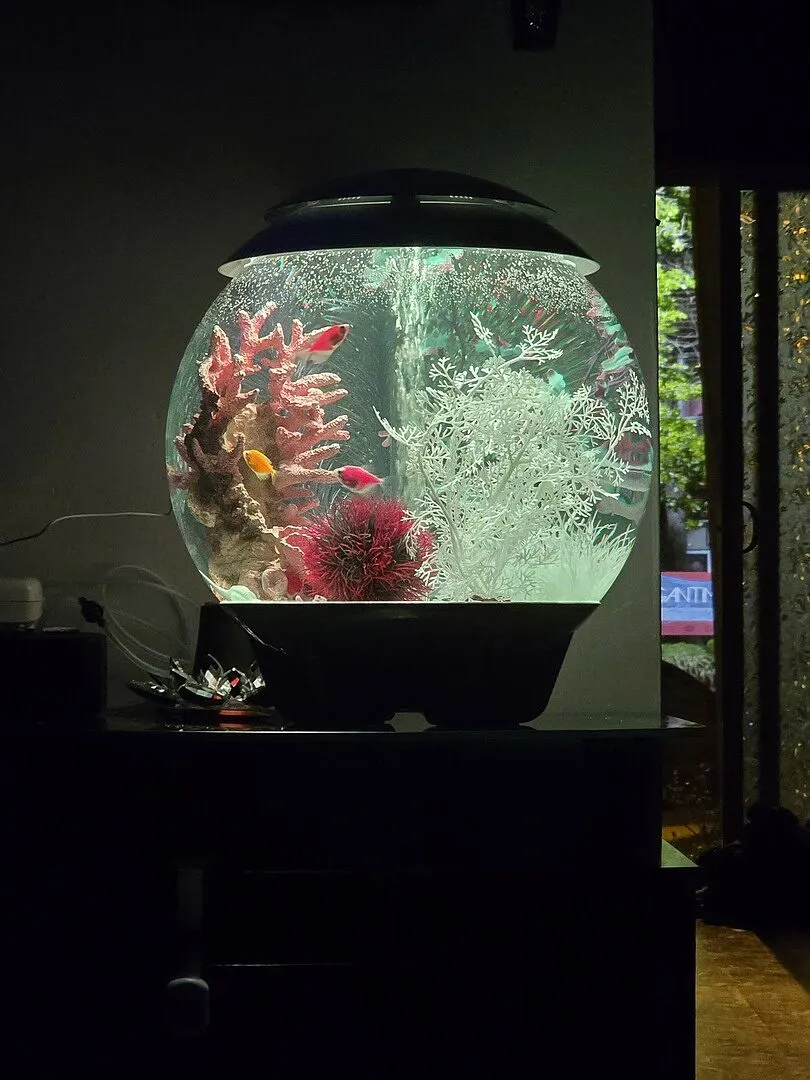 biOrb HALO 30 akvarium 30 liter MCR-ljus grå