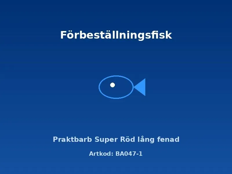 Näsets Ciklidhobby Super Red långfenad praktbarb 3–3,5 cm